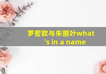 罗密欧与朱丽叶what's in a name